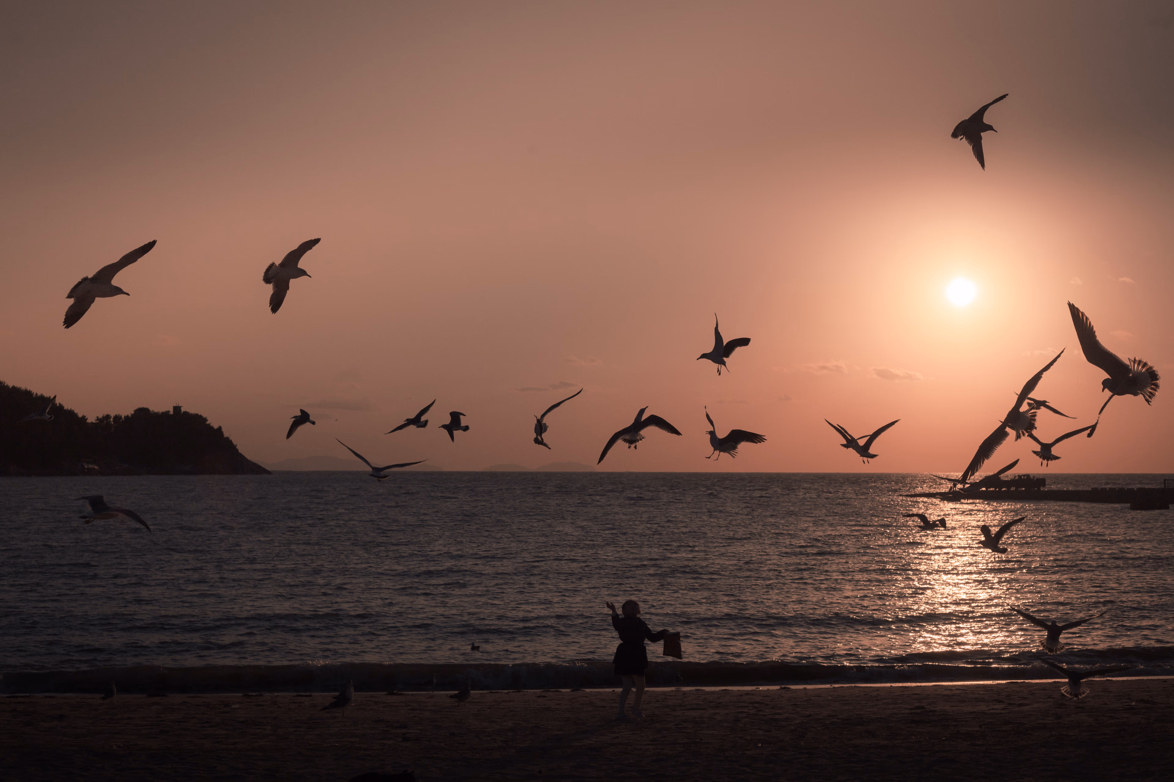 Jiangs — photographer